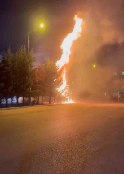 Çocukların torpille oyunu ağaçlık alanı tutuşturdu: Çok sayıda ağaç küle döndü
