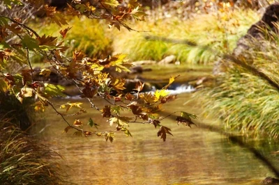 Cödden Vadisi görenleri hayran bırakıyor
