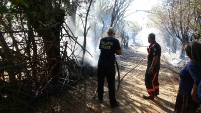 Çöpleri yakmak isterken meyve bahçelerini küle çevirdi
