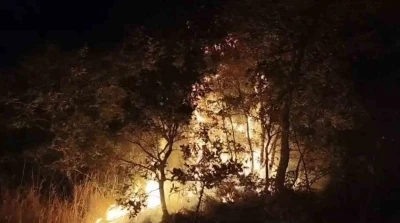 Çöplükte başlayan yangın araziye sıçradı
