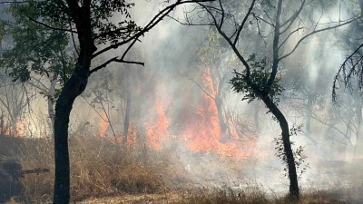 Çorlu’da ormanlık alanda korkutan yangın

