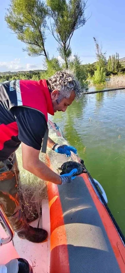 &Ccedil;orum Barajı&rsquo;nda 2 bin 800 metre ağ ele ge&ccedil;irildi
