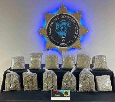 &Ccedil;orum&rsquo;da 9 kilo skunk ele ge&ccedil;irildi: 1 tutuklama
