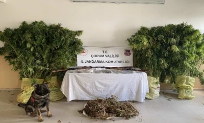 Çorum’da jandarmadan uyuşturucu tacirlerine operasyon: 2 tutuklama
