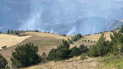 Çorum’da orman yangını
