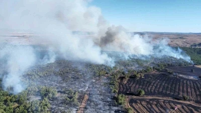 Çorum’da tarım arazisindeki yangın ormanlık alana sıçradı
