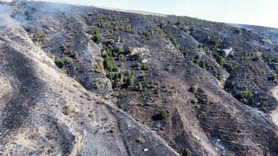Çorum’daki orman yangını kontrol altına alındı
