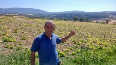 Çukurca Göleti sulama sistemindeki arızalar çiftçileri zor durumda bıraktı
