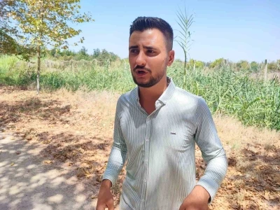 Çukurova Üniversitesi yerleşkesine domuzlar girdi, vatandaş havlayarak kovaladı
