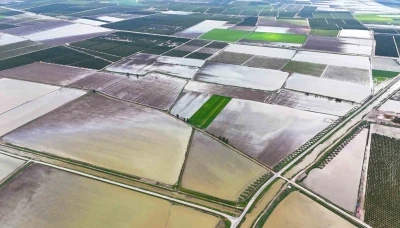 &Ccedil;ukurova&rsquo;yı yağmur vurdu: Tarım arazileri sular altında
