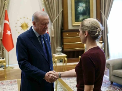 Cumhurbaşkanı Erdoğan, AB temsilcilerini kabul etti
