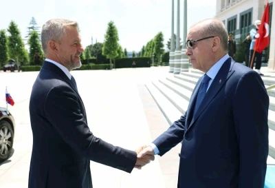 Cumhurbaşkanı Erdoğan, Slovakya Cumhurbaşkanı Pellegrini ile g&ouml;r&uuml;şt&uuml;
