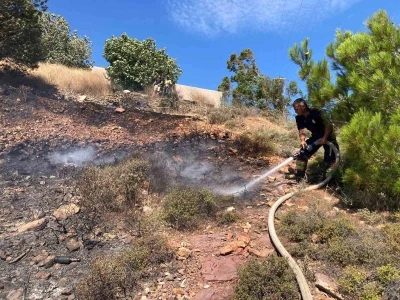 Cunda Adası&rsquo;nda orman yangını
