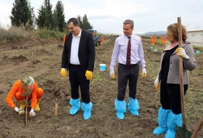 Dalaman Açık Ceza İnfaz Kurumunda 10 dekar alana Sakız ağacı fidanı dikildi
