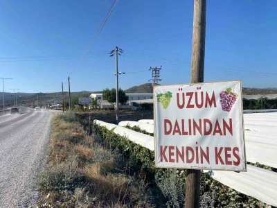 Dalından satışla ekonomiye katkı
