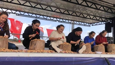 Dat&ccedil;a 7. Badem &Ccedil;i&ccedil;eği Festivali sona erdi
