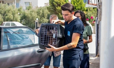 Davutlar Mahallesi’ne Kedi Kısırlaştırma Merkezi açıldı
