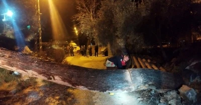 Defne&rsquo;de devrilen ağa&ccedil; yolu kapattı
