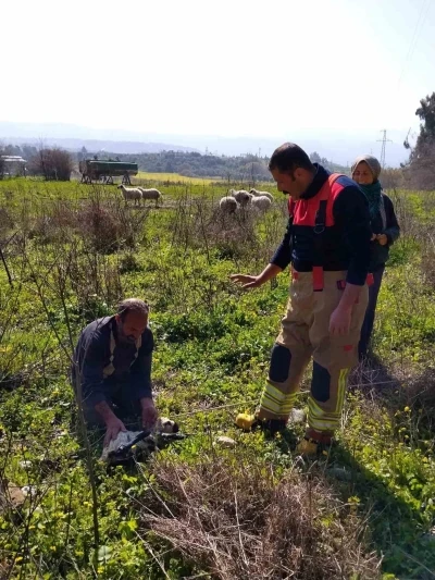 Defne&rsquo;de kuyuya d&uuml;şen kuzuyu itfaiye kurtardı
