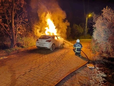 Defne’de otomobil alevlere teslim oldu
