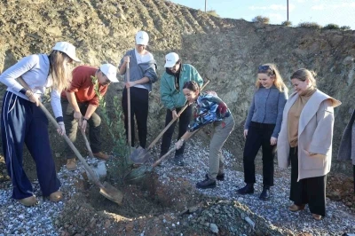 Defne fidanları toprakla buluştu
