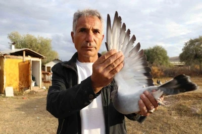 Değeri yarım milyondan fazla, yurt dışından bile talep görüyor
