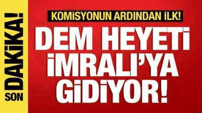 DEM Parti heyeti İmralı'ya doğru yola çıktı! Komisyonun ardından ilk ziyaret