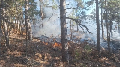 Demirci’de orman yangınına havadan müdahale
