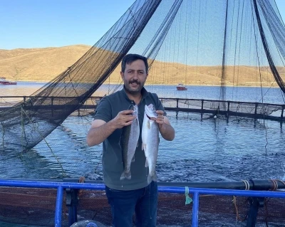 Demirözü Göletinde yetişen Alabalıklar Somon oldu
