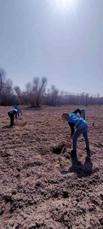 Denetimli serbestlik y&uuml;k&uuml;ml&uuml;leri &rsquo;Adalet Ormanı&rsquo;nda meyve yetiştiriyor
