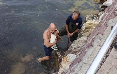 Deniz kenarında sıkışan köpek için kurtarma operasyonu
