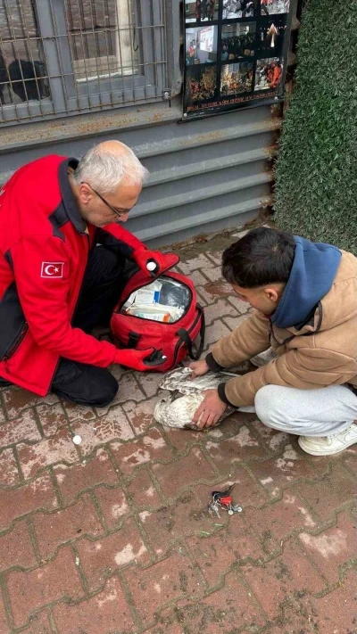 Denizde can m&uuml;cadelesi: Martıyı 911 ekipleri kurtardı
