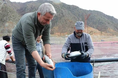 Denizi olmayan Erzurum&rsquo;da yılda 300 tona yakın balık &uuml;retiyorlar
