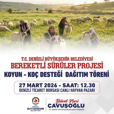Denizli B&uuml;y&uuml;kşehir 582 &uuml;reticiye 1200 adet koyun ve ko&ccedil; dağıtacak
