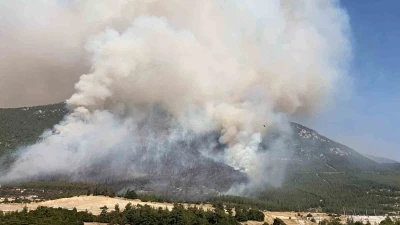 Denizli’de çıkan orman yangınını söndürme çalışmaları aralıksız devam ediyor
