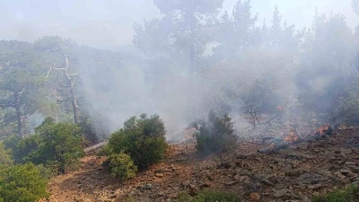 Denizli’de günler önce düşen yıldırım orman yangınına neden oldu
