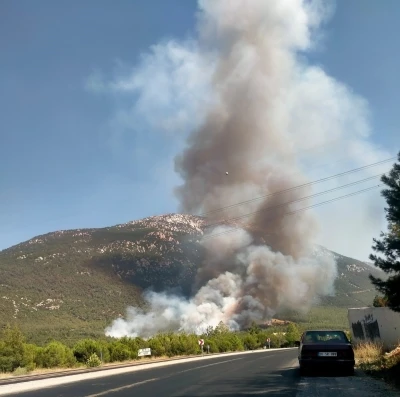 Denizli’de orman yangını
