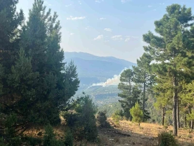 Denizli’de orman yangını

