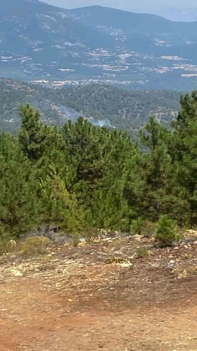 Denizli’de sarp arazide orman yangını başladı
