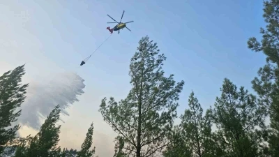 Denizli’de sarp bölgede çıkan orman yangını kontrol altına alındı
