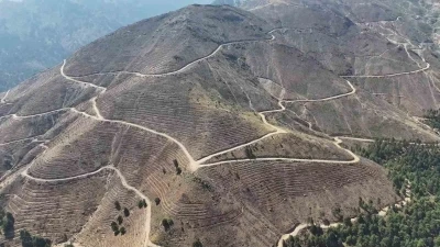 Denizli’de yanan 4 bin 108 hektar orman sahasında 2,5 milyon fidan yeşerecek
