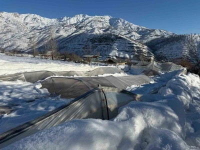 Derecik&rsquo;te kardan dolayı 38 sera zara g&ouml;rd&uuml;
