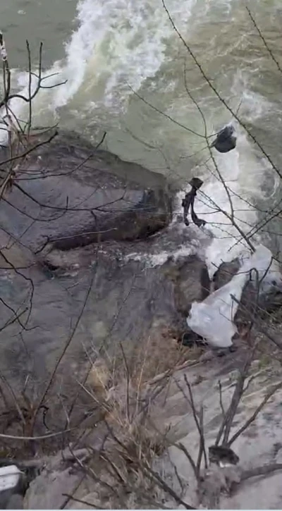 Dereli&rsquo;de derede mahsur kalan k&ouml;pek belediye ekiplerince kurtarıldı
