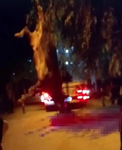 Dereye d&uuml;şen kurbanlık dana vin&ccedil;le kurtarıldı
