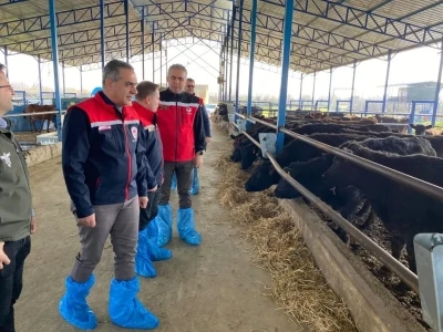 Devlet desteğiyle işini b&uuml;y&uuml;ten işletmeler incelendi
