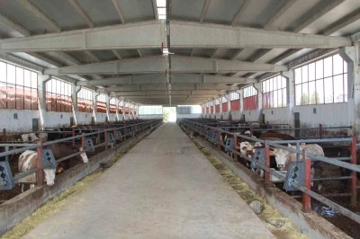 Devlet desteğiyle kurduğu besi &ccedil;iftliğinde tam kapasite &uuml;retim yapıyor
