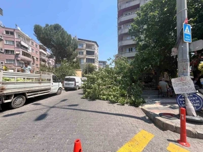 Devrilen ağa&ccedil; iki araca zarar verdi
