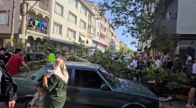 Devrilen ağacın altında kalan motosiklet s&uuml;r&uuml;c&uuml;s&uuml;n&uuml;n durumu ağır
