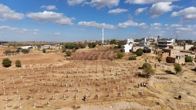 Dezavantajlı tarım arazileri modern bağcılık projesiyle hayat buluyor
