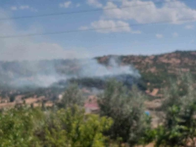 Dicle&rsquo;de &ouml;rt&uuml; yangını
